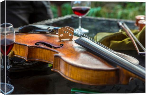 Violin with wine Canvas Print by David Hare