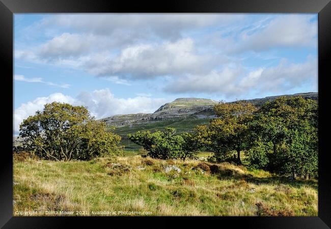 Yorkshire Dales view  Ingleborough Peak Framed Print by Diana Mower