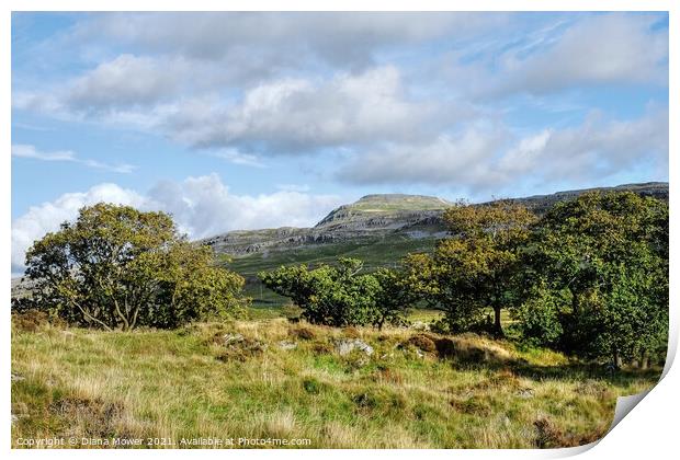 Yorkshire Dales view  Ingleborough Peak Print by Diana Mower