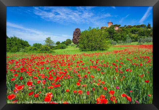 Meadow Poppies, Tuscany Framed Print by Jim Monk
