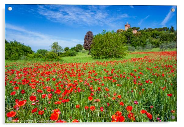 Meadow Poppies, Tuscany Acrylic by Jim Monk