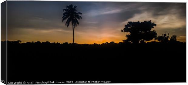 Sunset in Kerala. Clam cloudy and Orange moody sky , beautiful view coconut tree during sunset Canvas Print by Anish Punchayil Sukumaran