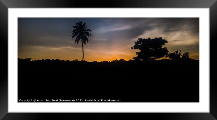 Sunset in Kerala. Clam cloudy and Orange moody sky , beautiful view coconut tree during sunset Framed Mounted Print by Anish Punchayil Sukumaran