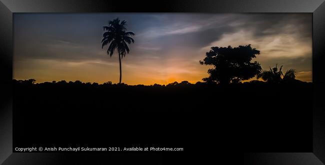 Sunset in Kerala. Clam cloudy and Orange moody sky , beautiful view coconut tree during sunset Framed Print by Anish Punchayil Sukumaran