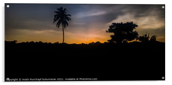 Sunset in Kerala. Clam cloudy and Orange moody sky , beautiful view coconut tree during sunset Acrylic by Anish Punchayil Sukumaran