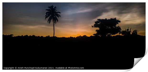 Sunset in Kerala. Clam cloudy and Orange moody sky , beautiful view coconut tree during sunset Print by Anish Punchayil Sukumaran