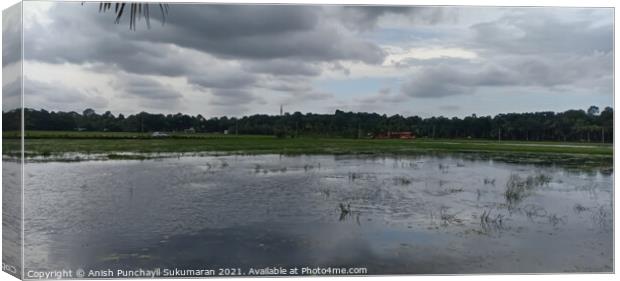 Rice field flooded with water under cloudy sky , a view from Ker Canvas Print by Anish Punchayil Sukumaran