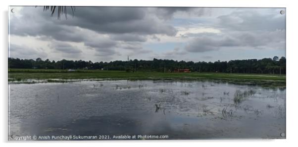 Rice field flooded with water under cloudy sky , a view from Ker Acrylic by Anish Punchayil Sukumaran