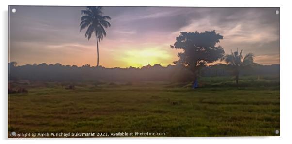  orange Sunset in Kerala, cloudy sky and coconut tree Acrylic by Anish Punchayil Sukumaran