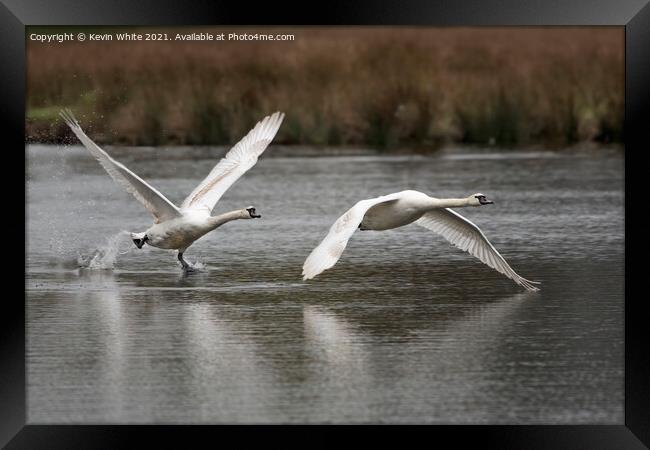 flying and walking on water Framed Print by Kevin White