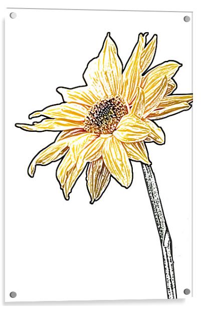 Sunflower Acrylic by Eddie Howland