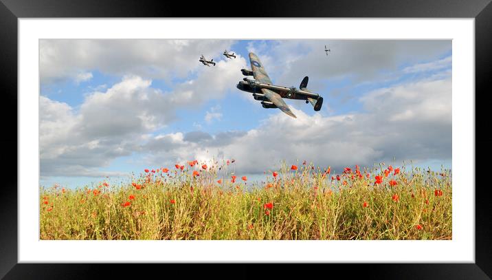 Poppies & Lancaster's Framed Mounted Print by Jon Fixter
