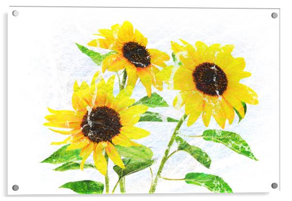 Abstract bouquet of flowering sunflowers Acrylic by Wdnet Studio