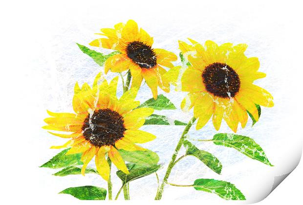 Abstract bouquet of flowering sunflowers Print by Wdnet Studio