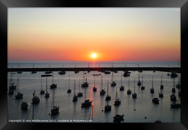 Sunrise over the outer harbor in Brixham  Framed Print by Ann Biddlecombe