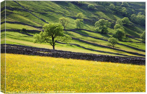 Upper Wharfedale in Summer Canvas Print by Mark Sunderland