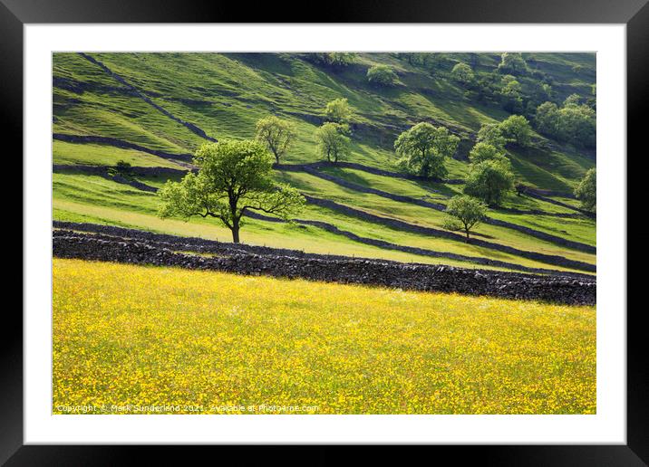 Upper Wharfedale in Summer Framed Mounted Print by Mark Sunderland