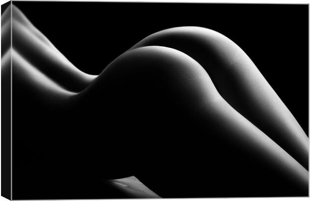 Nude woman bodyscape 68 Canvas Print by Johan Swanepoel