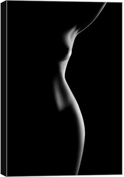 Nude woman bodyscape 70 Canvas Print by Johan Swanepoel