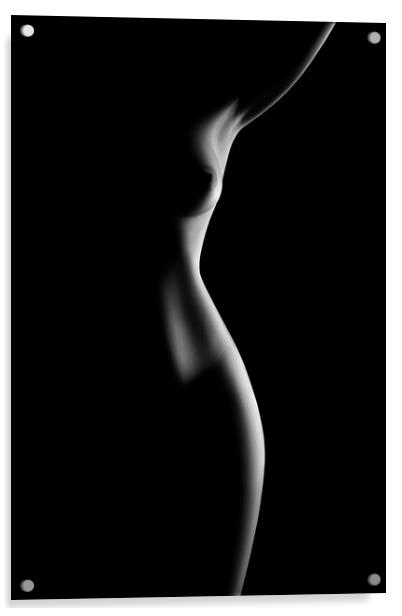 Nude woman bodyscape 70 Acrylic by Johan Swanepoel