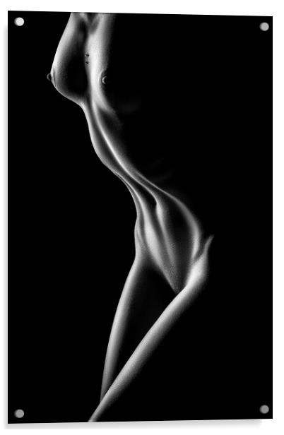 Nude woman bodyscape 71 Acrylic by Johan Swanepoel