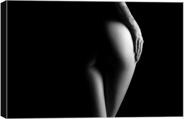 Nude woman bodyscape 73 Canvas Print by Johan Swanepoel