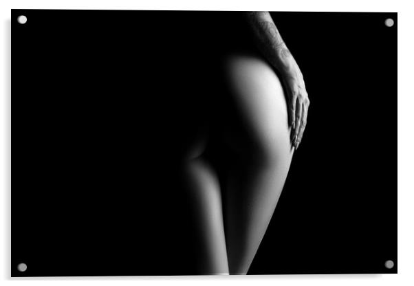 Nude woman bodyscape 73 Acrylic by Johan Swanepoel