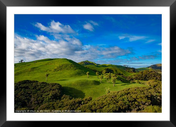 Green hill with blue sky, view of South Island, New Zealand Framed Mounted Print by Chun Ju Wu
