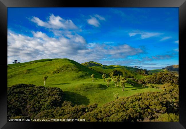 Green hill with blue sky, view of South Island, New Zealand Framed Print by Chun Ju Wu