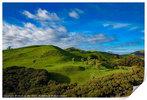 Green hill with blue sky, view of South Island, New Zealand Print by Chun Ju Wu