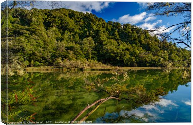 Reflection of trees on the water, Abel Tasman National Park, New Zealand Canvas Print by Chun Ju Wu