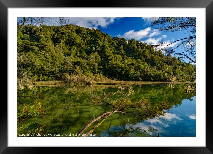 Reflection of trees on the water, Abel Tasman National Park, New Zealand Framed Mounted Print by Chun Ju Wu