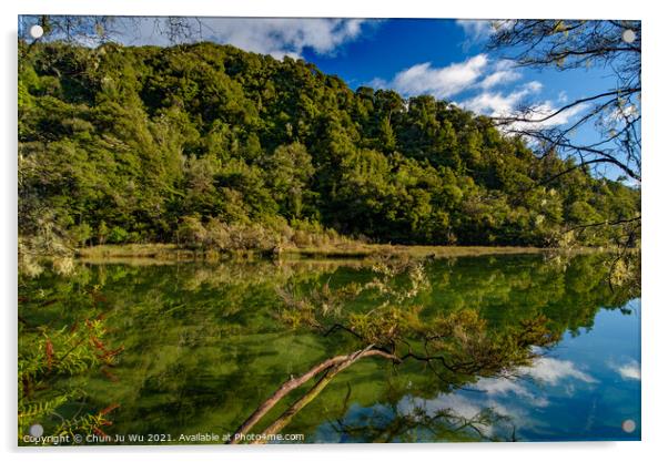 Reflection of trees on the water, Abel Tasman National Park, New Zealand Acrylic by Chun Ju Wu