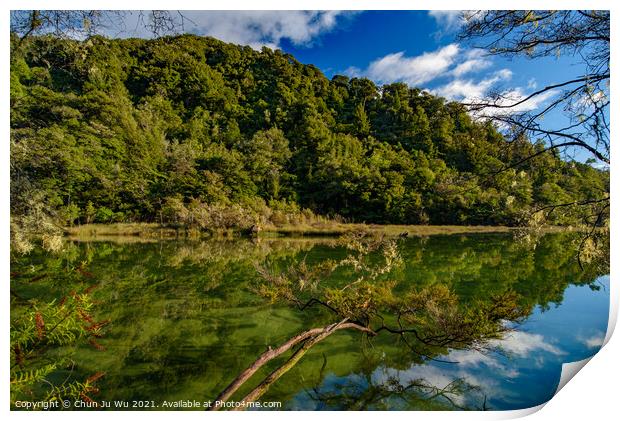 Reflection of trees on the water, Abel Tasman National Park, New Zealand Print by Chun Ju Wu