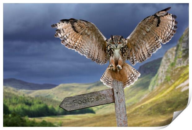 Eagle Owl (Bubo bubo) Landing on Signpost Print by Arterra 