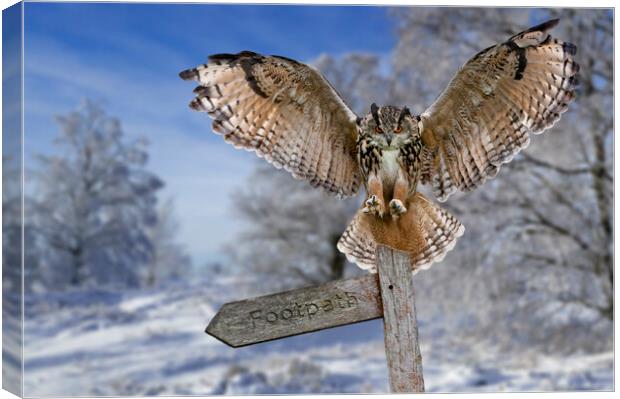 Eagle Owl (Bubo bubo) in the Snow in Winter Canvas Print by Arterra 