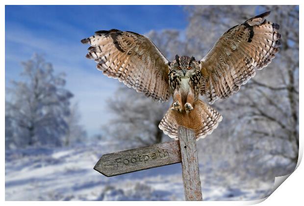 Eagle Owl (Bubo bubo) in the Snow in Winter Print by Arterra 