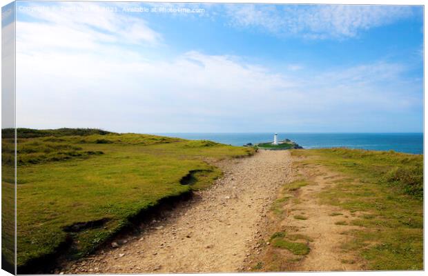 The Path to Godrevy Canvas Print by Terri Waters