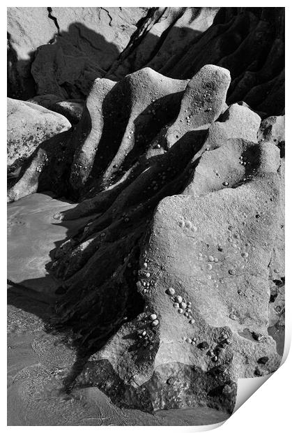 Abstract rocks on a Pembrokeshire beach Print by Andrew Kearton