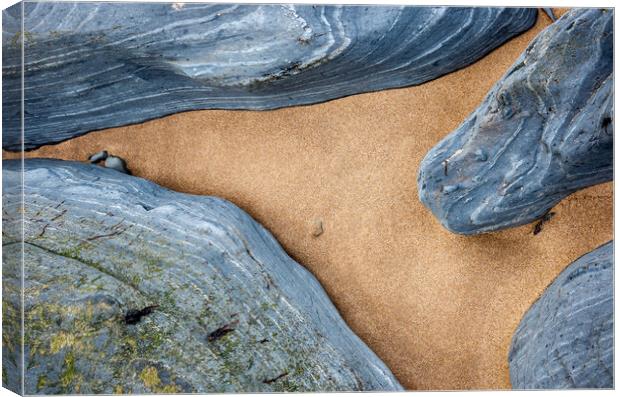 Sand and rock abstract, Penbryn beach, Wales Canvas Print by Andrew Kearton
