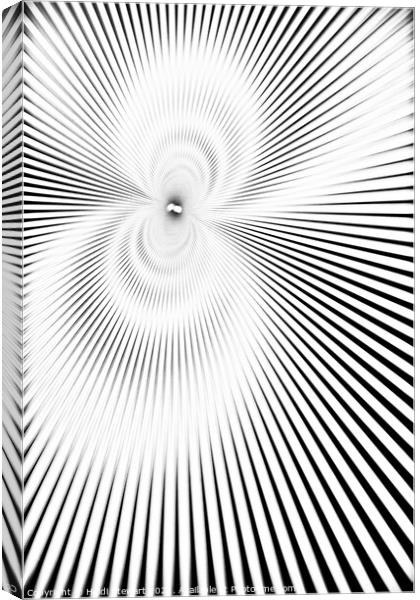 Abstract Design Canvas Print by Heidi Stewart