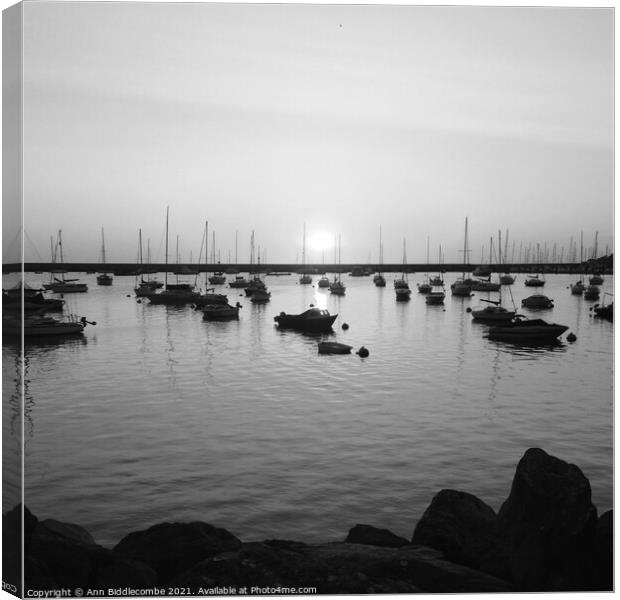 Sunrise over the outer harbor in Brixham in monochrome Canvas Print by Ann Biddlecombe