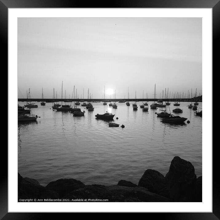 Sunrise over the outer harbor in Brixham in monochrome Framed Mounted Print by Ann Biddlecombe