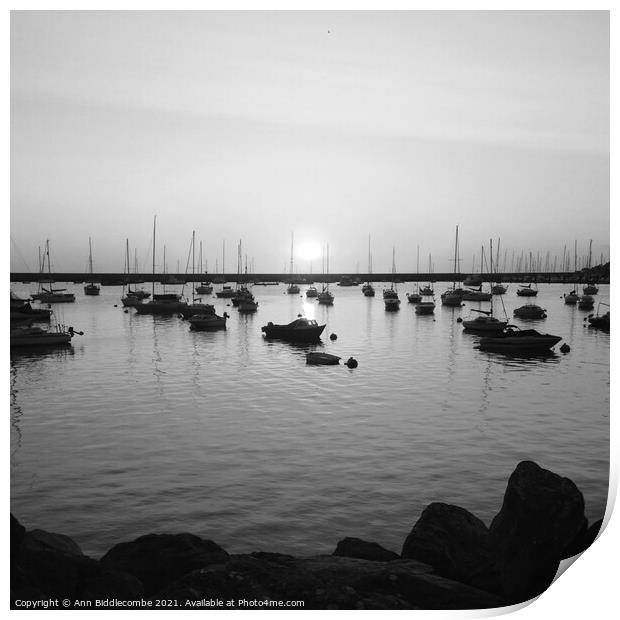 Sunrise over the outer harbor in Brixham in monochrome Print by Ann Biddlecombe