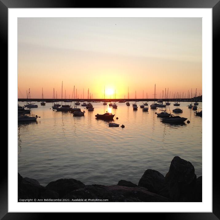 Sunrise over the outer harbor in Brixham from the rocks Framed Mounted Print by Ann Biddlecombe