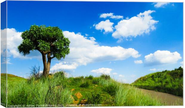 Over the blue yonder, Suikerbosrand Nature Reserve, Gauteng, South Africa Canvas Print by Adrian Turnbull-Kemp
