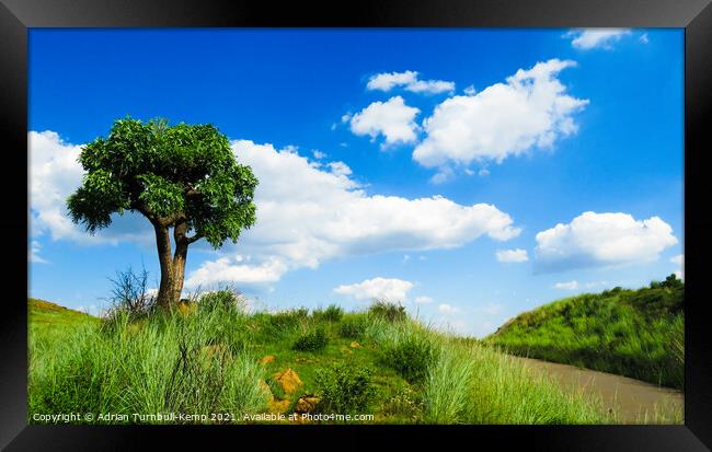 Over the blue yonder, Suikerbosrand Nature Reserve, Gauteng, South Africa Framed Print by Adrian Turnbull-Kemp