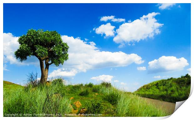 Over the blue yonder, Suikerbosrand Nature Reserve, Gauteng, South Africa Print by Adrian Turnbull-Kemp