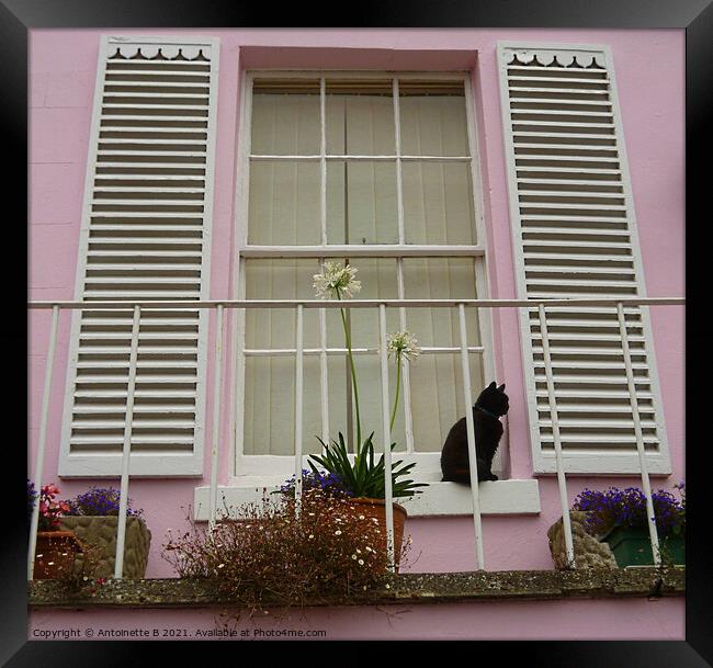 The Black Cat By The Window Framed Print by Antoinette B