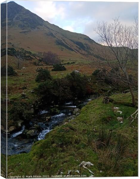 Lake District Valley Stream  Canvas Print by Mark Ritson